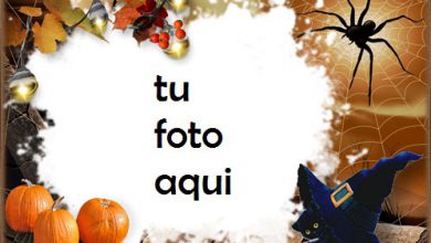 Halloween Con Gatito Negro Marco Para Foto 390x220 - Halloween Con Gatito Negro Marco Para Foto