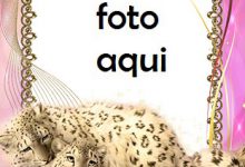 Marco Para Foto Cuadro Con Leopardos De Las Nieves Amor Marcos 220x150 - Marco Para Foto Cuadro Con Leopardos De Las Nieves Amor Marcos
