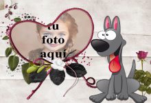 el marco romantico de la foto del perrito 220x150 - el marco romántico de la foto del perrito