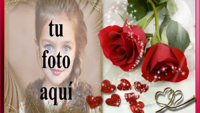 marco de fotos romantico rosas rojas 390x220 - marco de fotos romántico rosas rojas