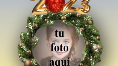 Feliz Ano Nuevo Ramo De Flores 2023 Foto Marcos 390x220 - Feliz Año Nuevo Ramo De Flores 2023 Foto Marcos